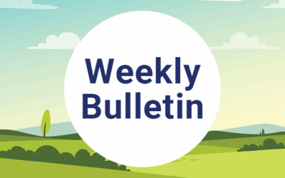 Weekly Bulletin 17th October 2025